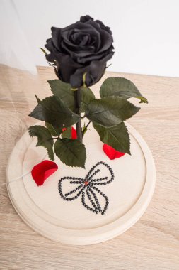 Rose ve rhinestones kırmızı kalp ile yaprakları