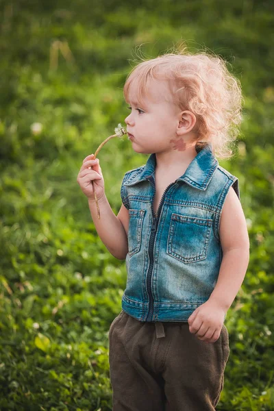 Roztomilej chlapeček v letním dnu na zeleném trávníku — Stock fotografie