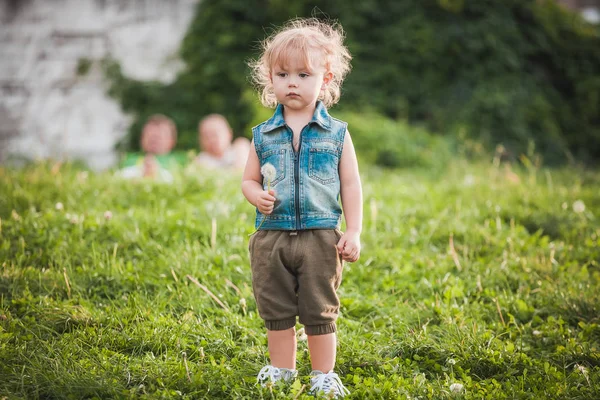 Roztomilej chlapeček v letním dnu na zeleném trávníku — Stock fotografie