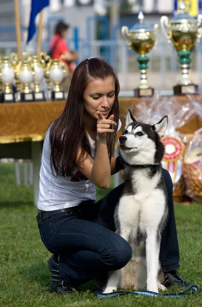 Glückliche Besitzerin mit ihrem sibirischen Husky-Hund — Stockfoto