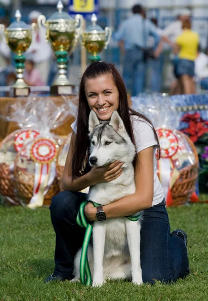 幸せな所有者とともに彼女の姉妹ハスキー犬 ストックフォト