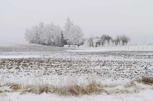 Snöig Landsbygd Landskap Vinter — Stockfoto