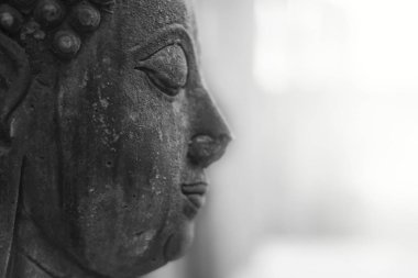 Buda'nın kafası yıpranmış. Tayland, Laos, Myanmar, Kamboçya, Hindistan, Sri Lanka, açık yeşil yosun yağışlı sezon büyüyen ile.
