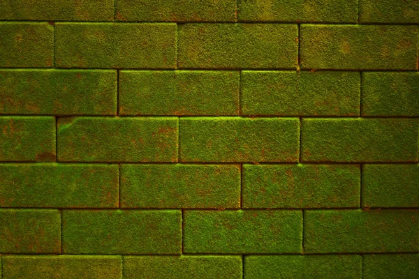 Block brick wall with moss fungus green.