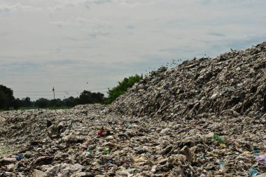 Dağ çöp, bozulmuş atık. Kentsel ve endüstriyel alanlarda atık. Kirliliği ve toksik kalıntı neden. Kentsel planlama bir sorundur. Az gelişmiş ülkelerde çevre yönetimi