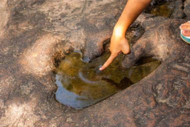 Etobur dinazor ayak izleri damgalı üzerinde kumtaşı. Jeolojik olarak kabul. Birkaç yüz milyon yaşında. Jurassic dönem beri