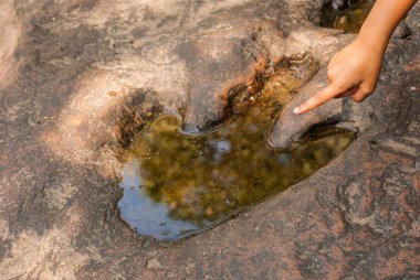 Etobur dinazor ayak izleri damgalı üzerinde kumtaşı. Jeolojik olarak kabul. Birkaç yüz milyon yaşında. Jurassic dönem beri