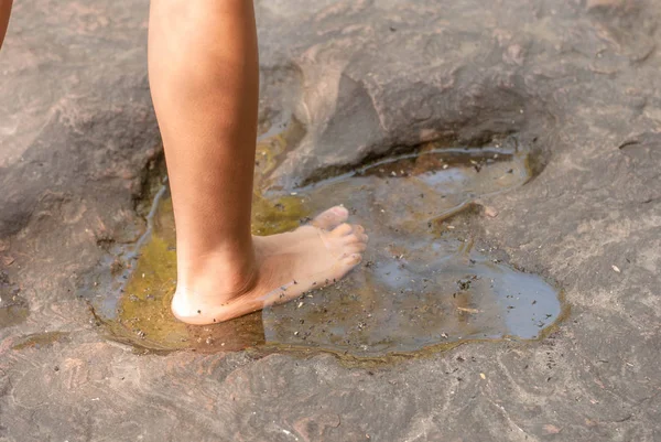 Carnivorous Dinosaur Footprints Stamped Sandstone Secara Geologis Diasumsikan Beberapa Ratus — Stok Foto