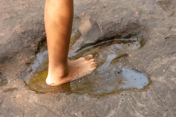 Carnivorous Dinosaur Footprints Stamped Sandstone Secara Geologis Diasumsikan Beberapa Ratus — Stok Foto