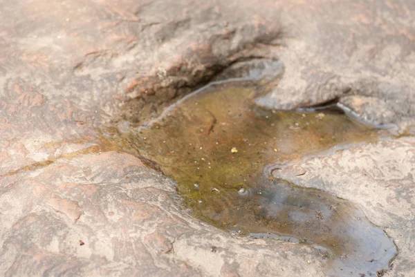 Huellas Dinosaurio Carnívoro Estampadas Piedra Arenisca Geológicamente Asumido Varios Cientos — Foto de Stock