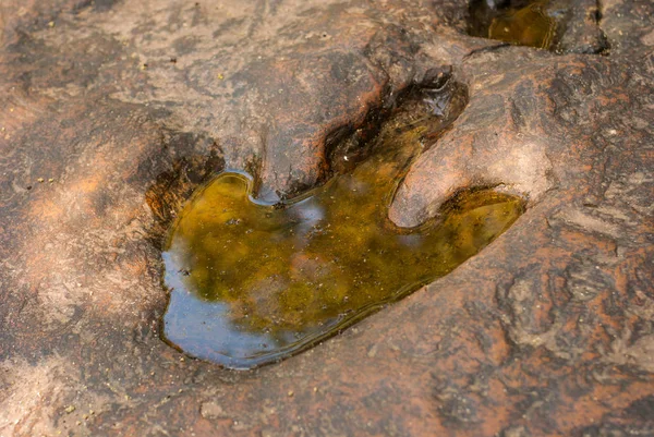 Carnivorous Dinosaur Footprints Stamped Sandstone Geologically Assumed Several Hundred Million — Stock Photo, Image