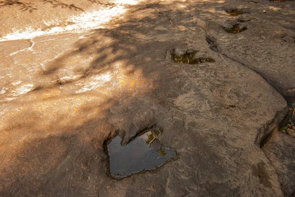 Huellas Dinosaurio Carnívoro Estampadas Piedra Arenisca Geológicamente Asumido Varios Cientos — Foto de Stock