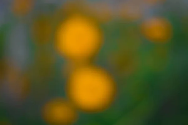 Çok Renkli Çiçek Bulanık Arka Plan — Stok fotoğraf
