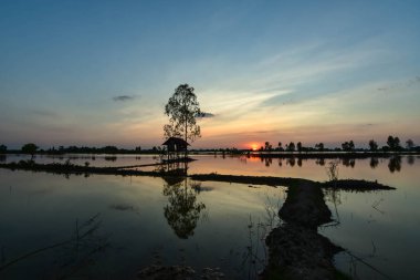 Ahşap gölgeler ve su ve su üzerinde yansıyan güneş ışığı akşam ortasında küçük kulübeler.