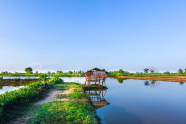 Ahşap gölgeler ve su ve su üzerinde yansıyan güneş ışığı akşam ortasında küçük kulübeler.