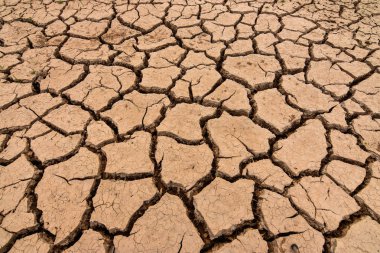 Dünya Yaz kuraklık nedeniyle çatlamış. Küresel ısınma ve sera etkisi iklim değişikliği dünya çapında bir olgu olduğunu.