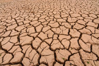 Dünya Yaz kuraklık nedeniyle çatlamış. Küresel ısınma ve sera etkisi iklim değişikliği dünya çapında bir olgu olduğunu.
