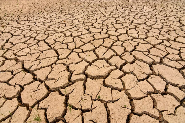 The earth is cracked because of summer drought. Global warming and greenhouse effect Climate change is a worldwide phenomenon.