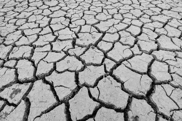 Tierra Está Agrietada Debido Sequía Del Verano Calentamiento Global Efecto — Foto de Stock