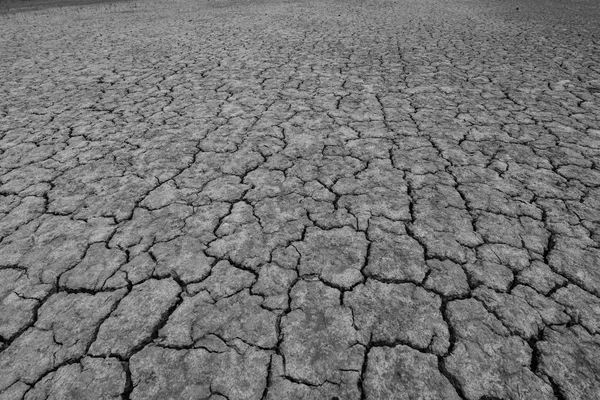 Tierra Está Agrietada Debido Sequía Del Verano Calentamiento Global Efecto — Foto de Stock