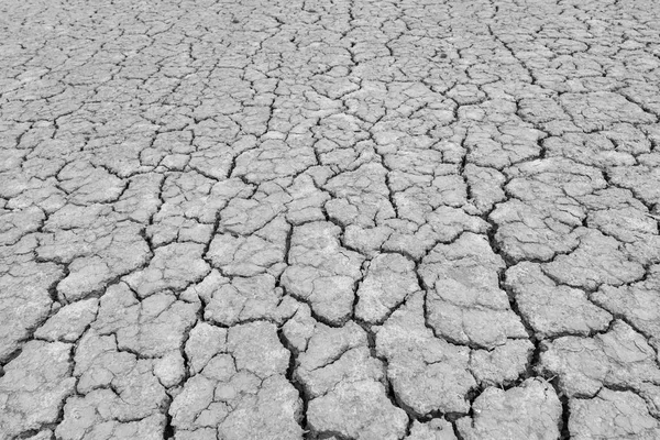 Tierra Está Agrietada Debido Sequía Del Verano Calentamiento Global Efecto — Foto de Stock
