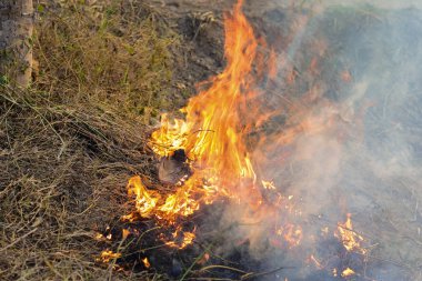Yangın kuru bir alanda ve öğleden sonra güneşte yanıyor. Tropikal, Güneydoğu Asya 'da kuru sezon