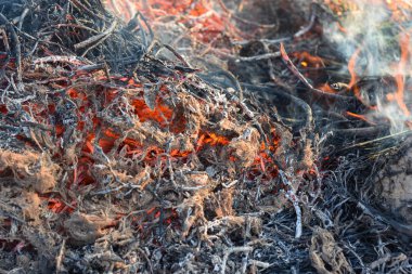 Yangın kuru bir alanda ve öğleden sonra güneşte yanıyor. Tropikal, Güneydoğu Asya 'da kuru sezon