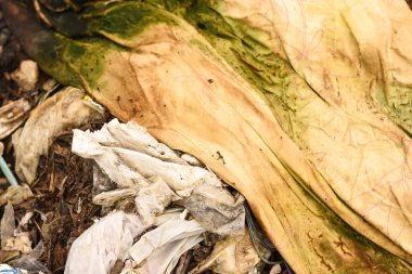 Eski bez atık ve zayıflatmak zor plastik atık yönetim alanında bir sorundur.