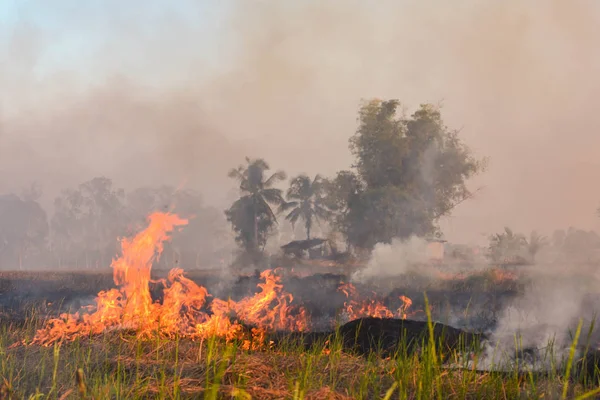 Tűz Száraz Területen Délután Napsütés Száraz Évszak Trópusi Délkelet Ázsiában — Stock Fotó