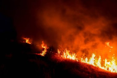 Geceleri çayırda ateş yanıyor..