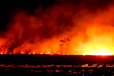 Geceleri çayırda ateş yanıyor..