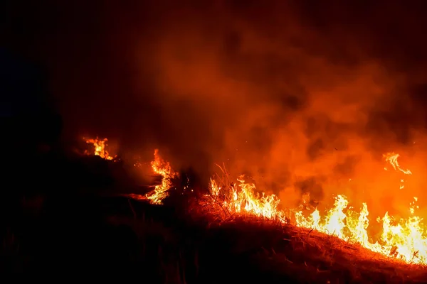 Fuego Arde Prado Por Noche — Foto de Stock