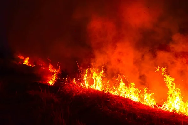 Fuego Arde Prado Por Noche — Foto de Stock