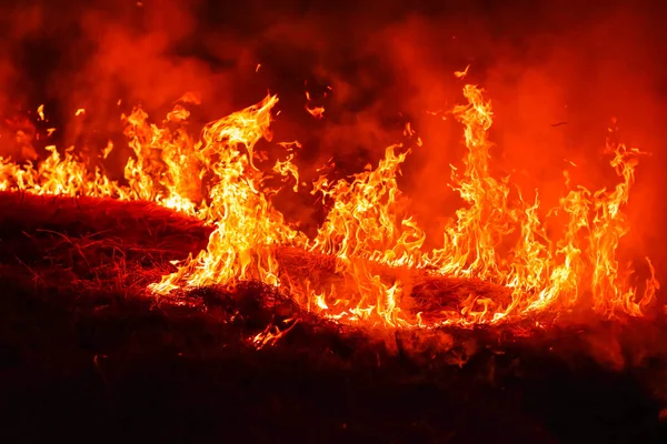 Fire Burning Meadow Night — Stock Photo, Image