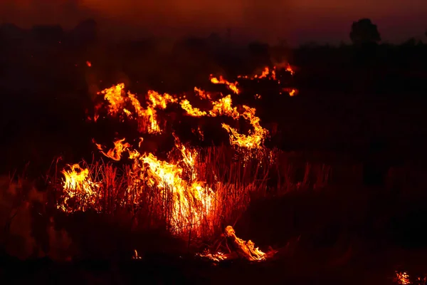 Fuego Arde Prado Por Noche — Foto de Stock