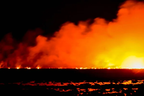 Fuego Arde Prado Por Noche —  Fotos de Stock