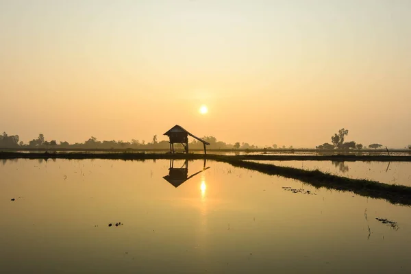 Hut Terra Onde Água Começou Secar Rachado Amanhecer — Fotografia de Stock