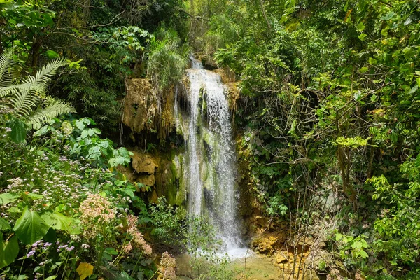 Водоспад у джунглі, Національний парк Ель Nicho, Куба Стокове Фото