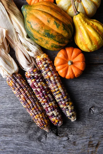 Herbst Stillleben Feuersteinmais Kürbisse Und Kürbis Auf Rustikaler Holzoberfläche — Stockfoto