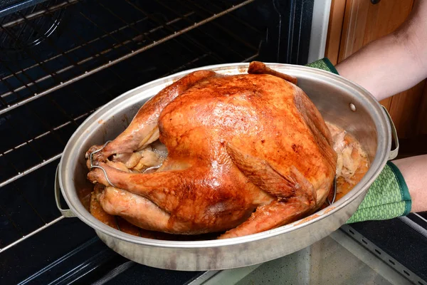 Tar Thanksgiving kalkon från ugnen — Stockfoto