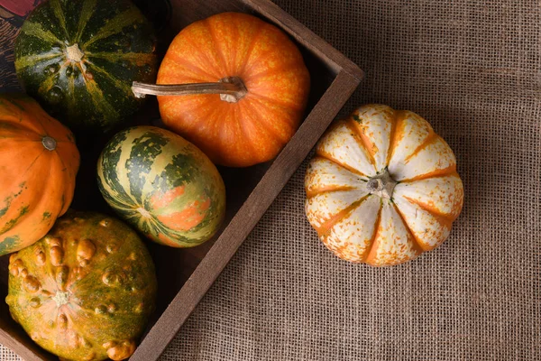 Colpo in testa di zucche ornamentali e zucche in una cassa di legno — Foto Stock