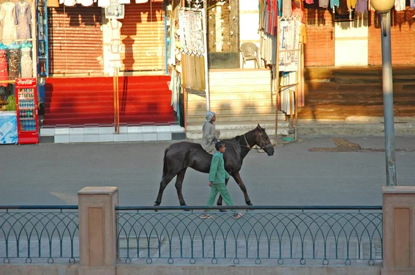 Edfu Egypten Oktober Barn Rida Sin Häst Tidigare Butiker Edfu — Stockfoto