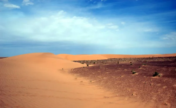 Sanddünen Der Wüste Gobi Mongolei — Stockfoto