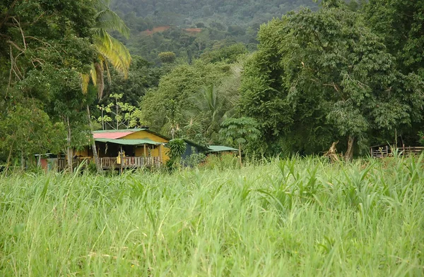 Ház Dzsungelben Costa Rica — Stock Fotó