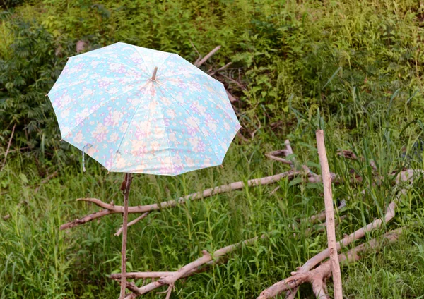 フェンスのジャングルに傘 — ストック写真
