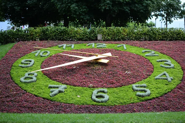 瑞士洛桑 2014年7月9日 洛桑区欧希的花钟 在港口附近的一个公园里 花钟象征着瑞士在计时行业的名气 — 图库照片