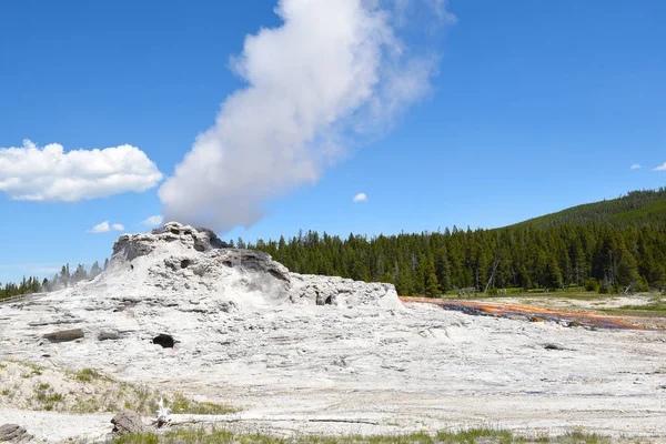 Gejzer Zamek Park Narodowy Yellowstone Wyoming Gejzer Stożek Górnym Dorzeczu — Zdjęcie stockowe