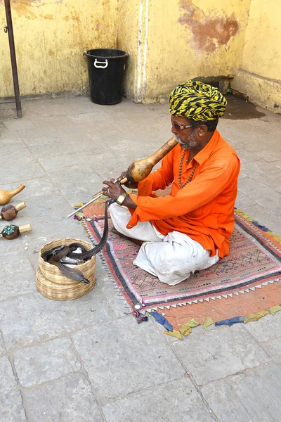 Джайпур Индия Ноября 2015 Snake Charmer Человек Играет Pungi Очарование — стоковое фото