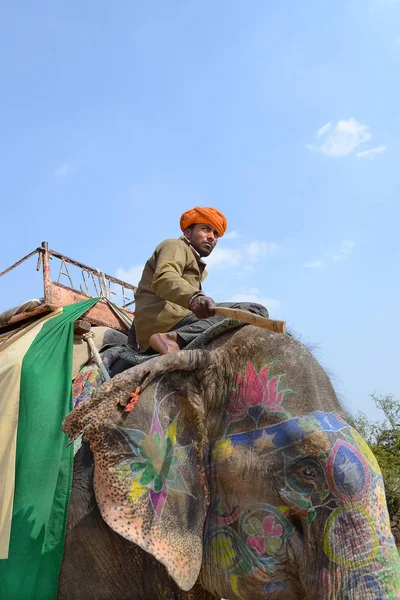 Джайпур Индия Ноября 2015 Года Раскрашенный Слон Всадник Сафари Слонах — стоковое фото