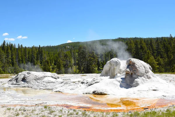 Grotto Geyser Een Fontein Geiser Het Upper Geyser Basin Het — Stockfoto